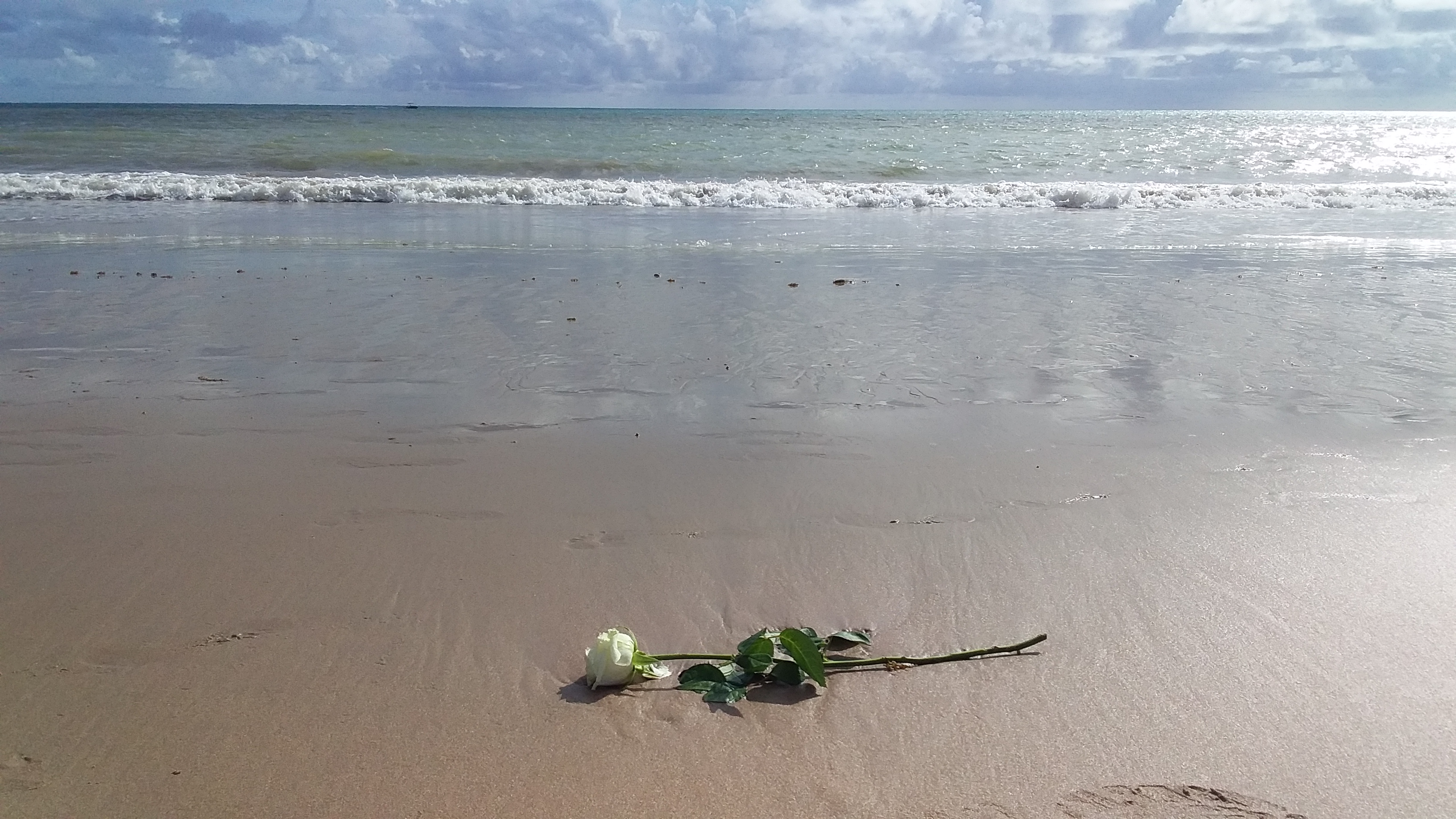 Flores para Iemanjá: entenda o porque da oferenda